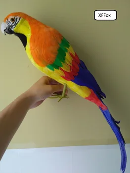 grandes de la vida real de color naranja y amarillo parrot modelo de espuma&simulación de la pluma de loro pájaro regalo acerca de 65cm xf0200