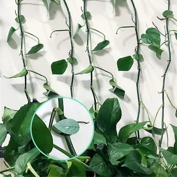 Planta de Clip con Cinta adhesiva de la Planta de la Pared Clip Eficiente de Suministros de Jardinería en forma de Hoja de la Planta de Fijadores con Cinta adhesiva para la Escalada